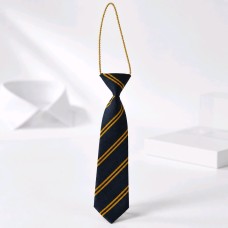 Doon CBS School Tie (Elasticated)