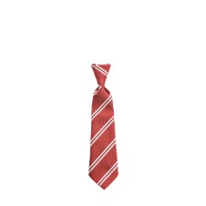 Corpus Christi National School Tie (Elasticated)
