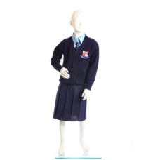 Caherconlish National School Skirt (Short)