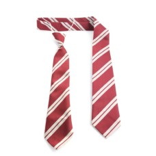 Christ the King National School Tie (Elasticated)