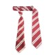 Christ the King National School Tie (Elasticated)