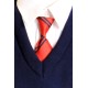Model National School Tie (Full)