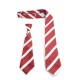 St Patricks Girls National School Tie (Elasticated)