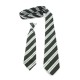 Tine Teriffe National School Tie (Elasticated)