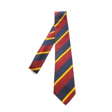 Colaiste Nano Nagle School Tie (Full)