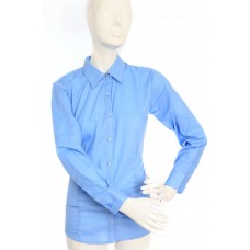 Fitted Blue Blouse