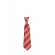 Clonlara National School Tie (Elasticated)